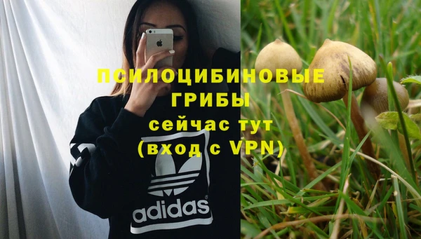 хмурый Верхний Тагил