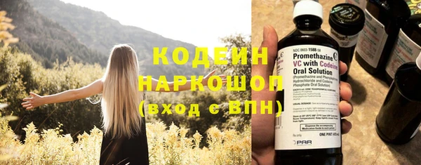хмурый Верхний Тагил