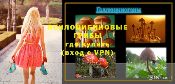 хмурый Верхний Тагил