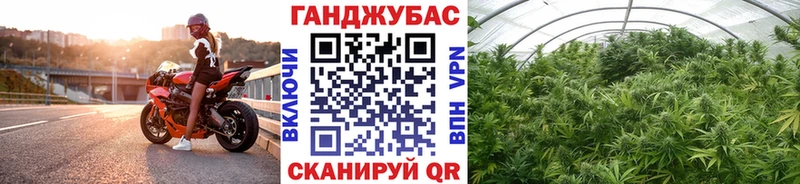 Купить где  Спасск  Шишки марихуана планчик 